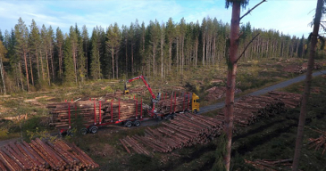 Metsähallitus siirtyy uusiutuvaan dieseliin