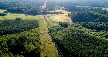 Metsälinjalle tulee runsaan 300 kilometrin matkalle 800 voimajohtopylvästä.