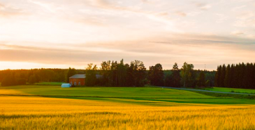 Lantmännen ostaa Myllyn Parhaan