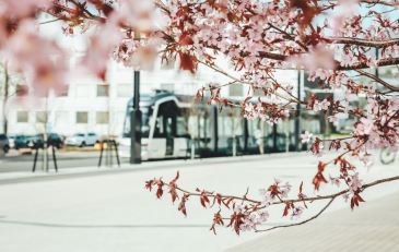 Raide-Jokerin koeajoja Viikissä keväällä 2023