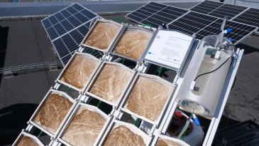 Aurinkovetyreaktori koostuu läpinäkyvistä paneeleista, joissa on vettä ja valokatalyyttistä materiaalia kalvoihin kiinnitettynä. Katalyyttimateriaaliin imeytyvä auringonvalon energia hajottaa vesimolekyylit vedyksi ja hapeksi, jotka kerätään. Kuva: Kaisu Koivu