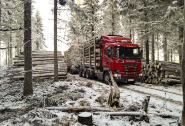 Metsäteollisuuden kuljetuksiin syntyy 400 hengen suuryritys