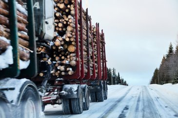 Väylävirasto muistuttaa puutavaran oikeanlaisesta käsittelystä maanteillä