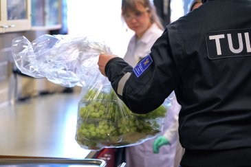 Tulli löysi viime vuonna eniten ongelmia ravintolisistä ja leluista