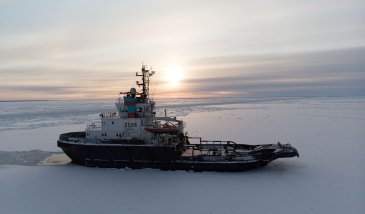 Artikkelin nostokuva