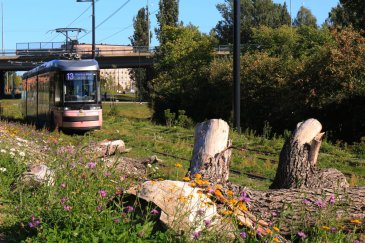 Helsingin raidelinja 13 sai vuoden ympäristöpalkinnon