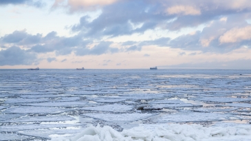 Arktisten merien asiantuntijat koolla Suomessa