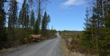 Lapin metsäautotiet kärsineet tulvatuhoista