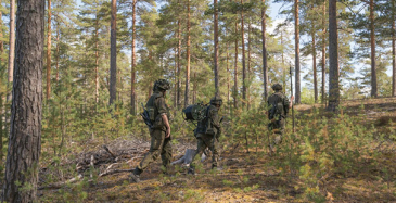Puolustusvoimille iso valokaapelitilaus