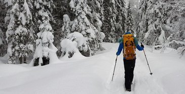 Lumen määrästä tutkimustietoa