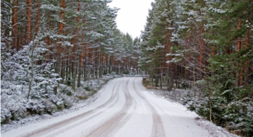 Metsäala vaatii panostuksia vähäliikenteiseen tieverkkoon