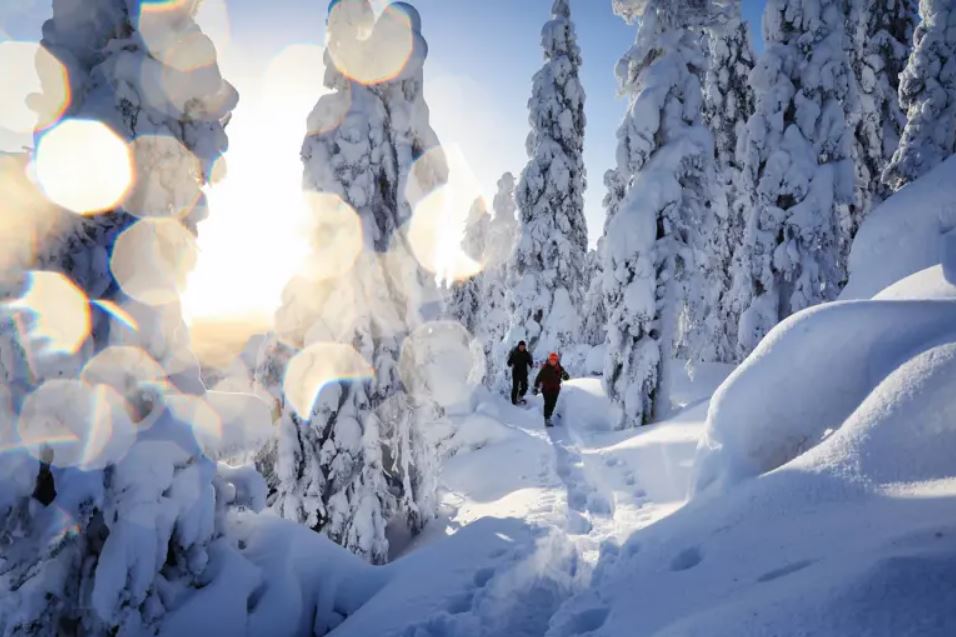 Kuvituskuva: Visit Karelia / Harri Tarvainen
